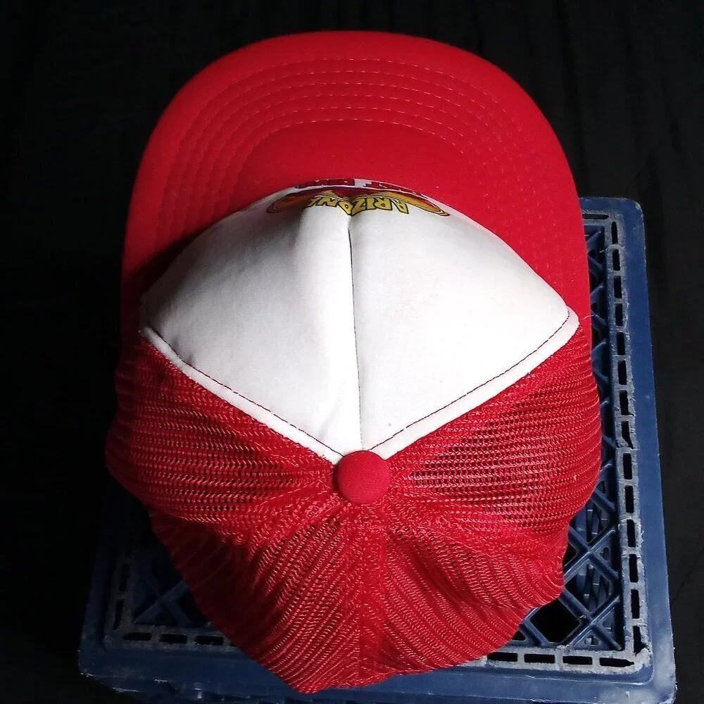 Deadstock Vintage Arizona Dust Devil Trucker Hat Cap